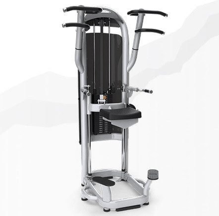 Тренажер грузоблочный Подтягивания и отжимания MATRIX Aura G3-S60 Гравитрон Тренажер грузоблочный Подтягивания и отжимания MATRIX Aura G3-S60 Гравитрон