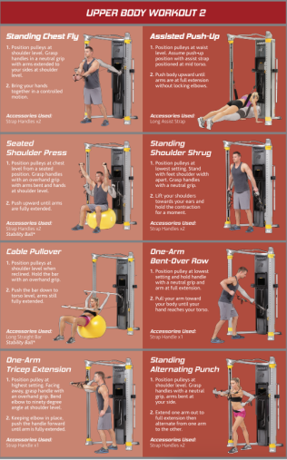 Функциональный комплекс Hoist Mi6 двойная регулируемая тяга